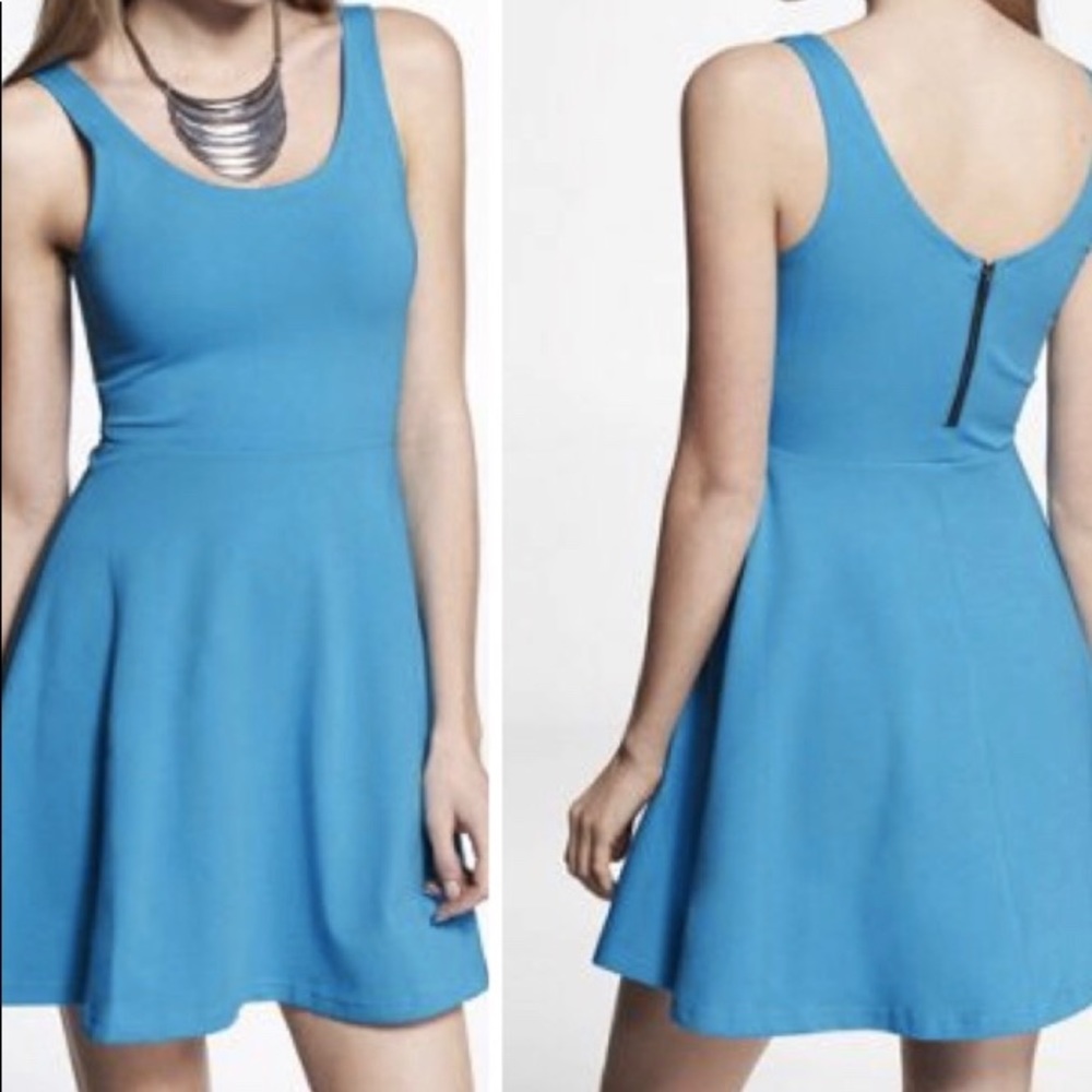 Express Skater Dress